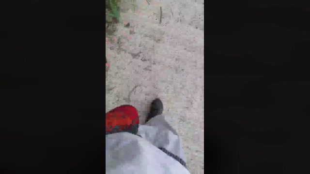 Synbaherrera  30-12-2022